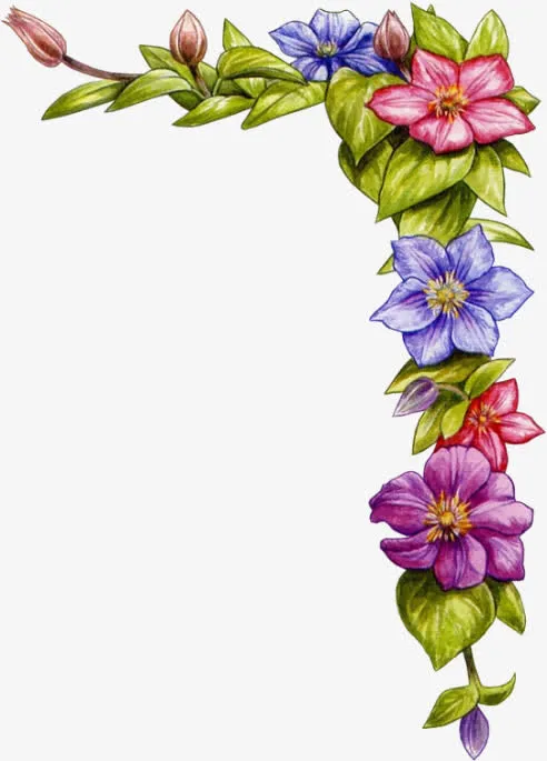 手绘水彩花边框免抠