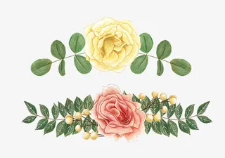 免抠手绘装饰鲜花免抠