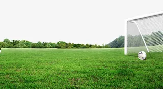 绿荫足球场免抠素材免抠