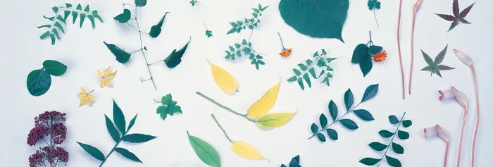 唯美背景摄影风景图高清