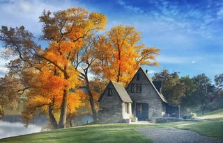 黄色秋景迷人安静免抠