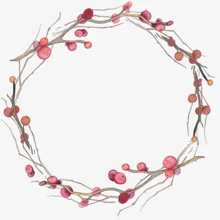 手绘树枝果实花环免抠