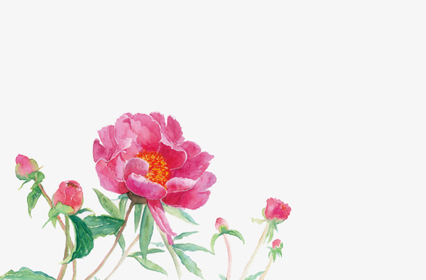 春天花朵素材1免抠