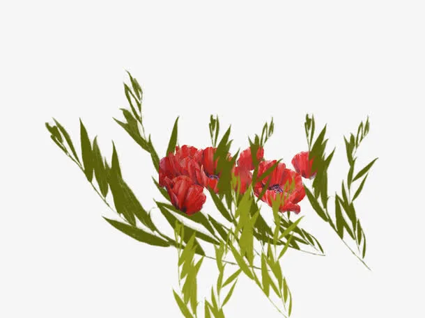 手绘绿叶插花免抠