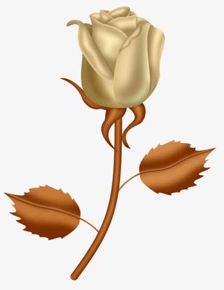 手绘玫瑰免抠