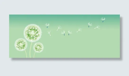 花卉植物banner背景
