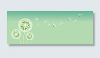 花卉植物banner背景