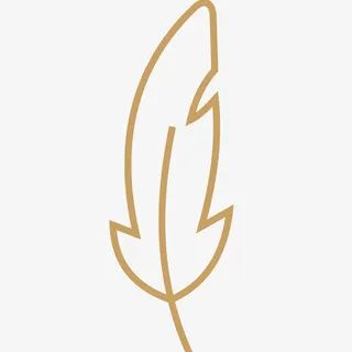 羽毛纹理矢量插画免抠