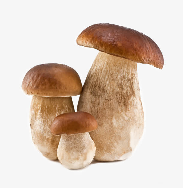 香菇美食素材免抠