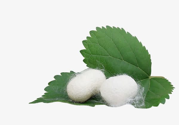蚕丝家纺服饰女装免抠