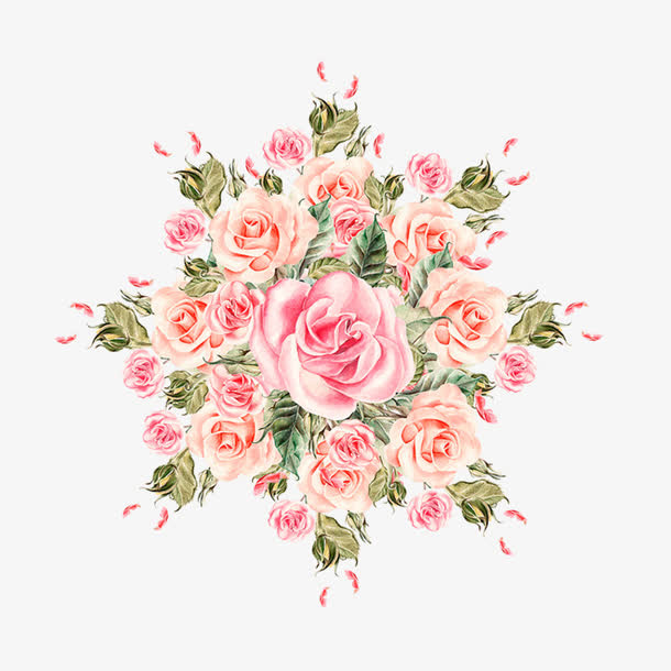 手绘玫瑰鲜花免抠