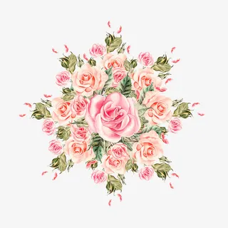 手绘玫瑰鲜花免抠