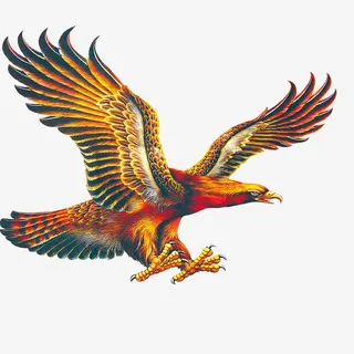 大鹏展翅免抠