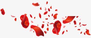 红色花瓣漂浮免抠