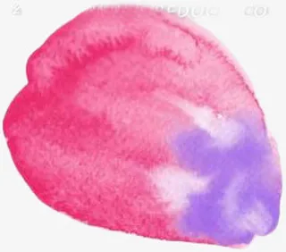 粉色水彩花瓣中国风免抠