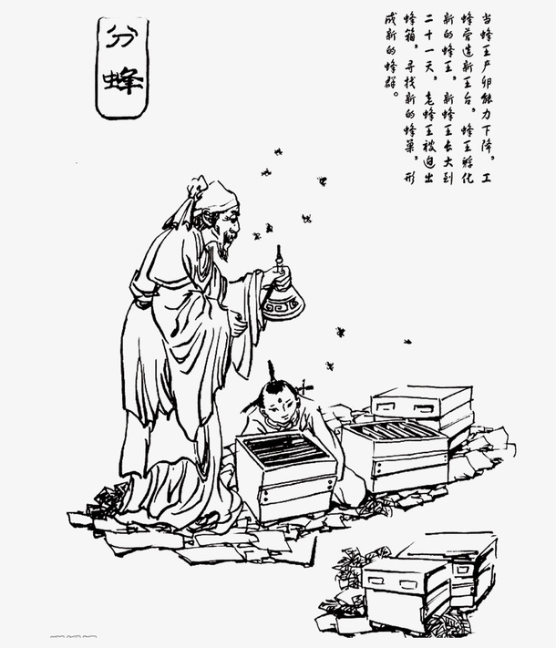 养蜂人分蜂蜜免抠