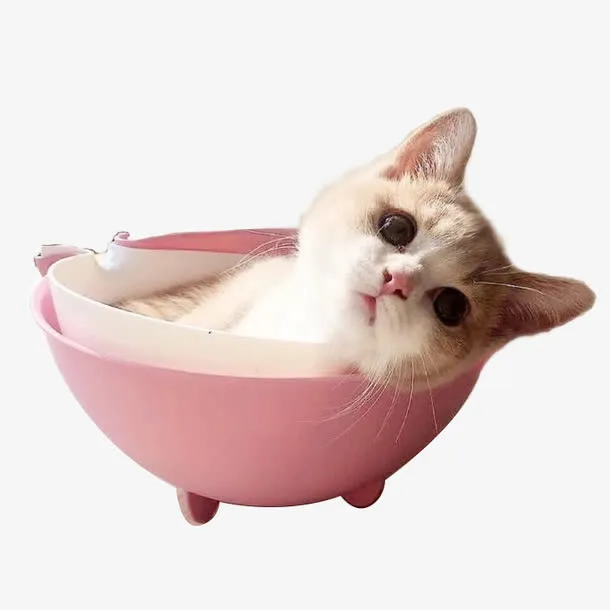 躺在碗里的小猫免抠