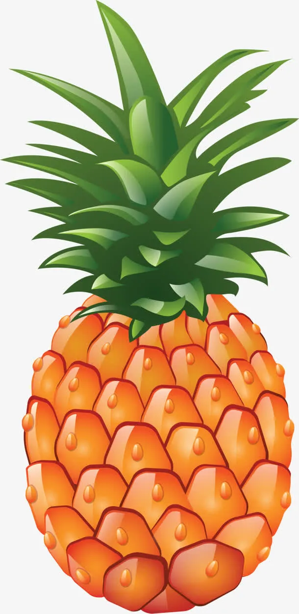 菠萝免抠