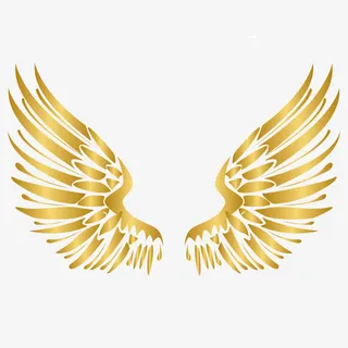 矢量金色翅膀免抠手绘/卡通卡通元素