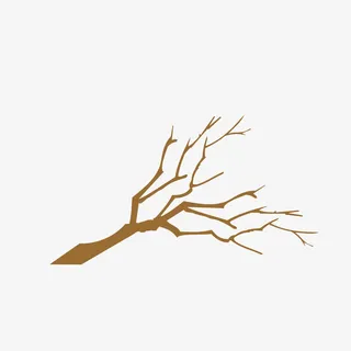 光溜溜的树枝免抠