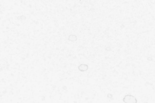 白色朦胧创意雪花冬日漫画免抠