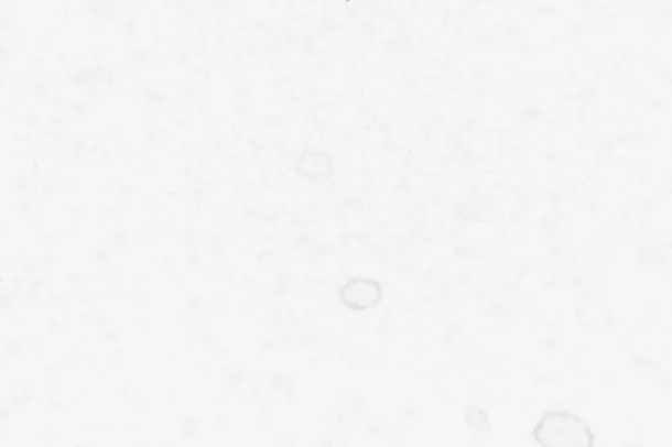 白色朦胧创意雪花冬日漫画免抠