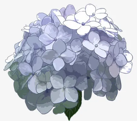 手绘蓝灰色花朵装饰免抠