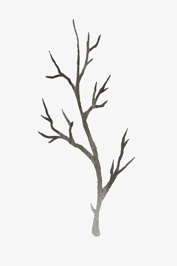 手绘树枝免抠