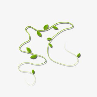 绿色藤蔓叶子免抠