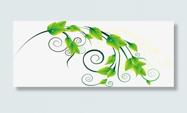 春天绿色藤蔓植物绿叶免抠