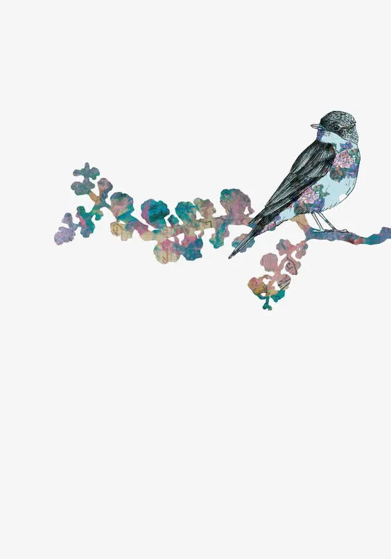 水彩小鸟免抠