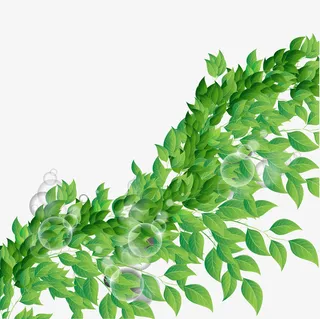 春季绿色叶子装饰免抠