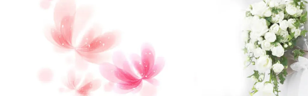 唯美中国风简约大气淘宝海报背景