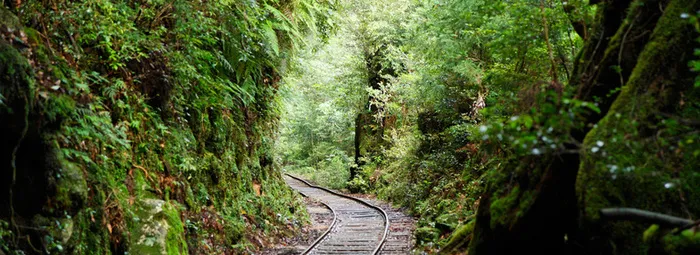 森林小路背景高清