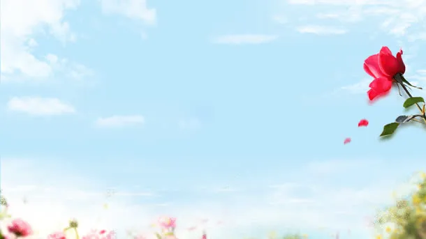 淘宝天猫首页背景