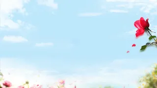 淘宝天猫首页背景