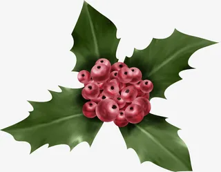 红色花朵图片免抠