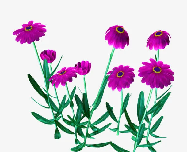 矢量花草素材花卉设计素材免抠