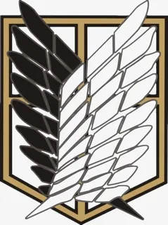 黑白色羽毛边框免抠