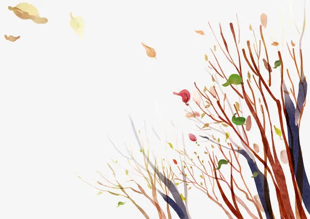 树叶枯枝免抠