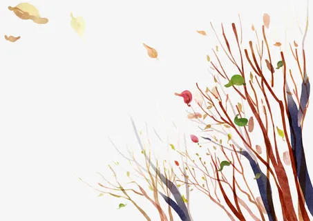 树叶枯枝免抠