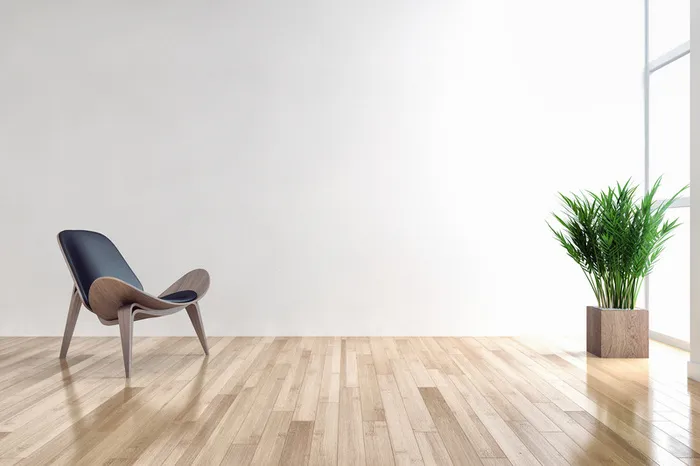 房间里的绿色植物与椅子高清