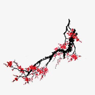墙角数枝梅免抠