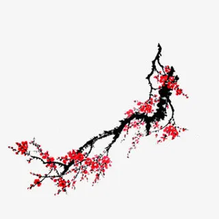 墙角数枝梅免抠