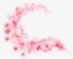 粉色花瓣免抠