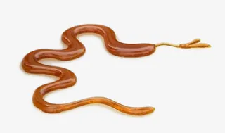 手绘蛇的图片免抠