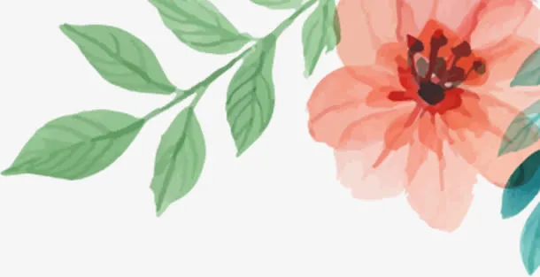 摄影海报促销夏日花朵免抠