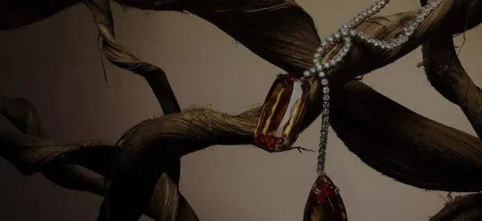 模糊不清的干树枝免抠