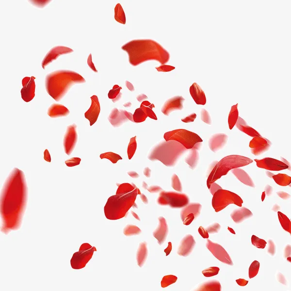 撒花庆祝免抠漂浮花瓣元素
