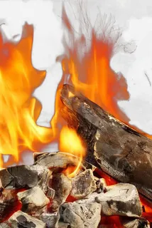 木柴免抠素材免抠